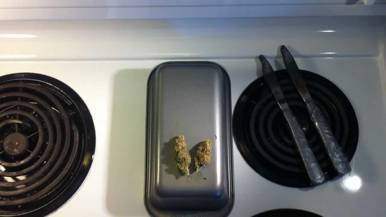 KUSH QUEBEC #2 TASTING THE LEMON SKUNK