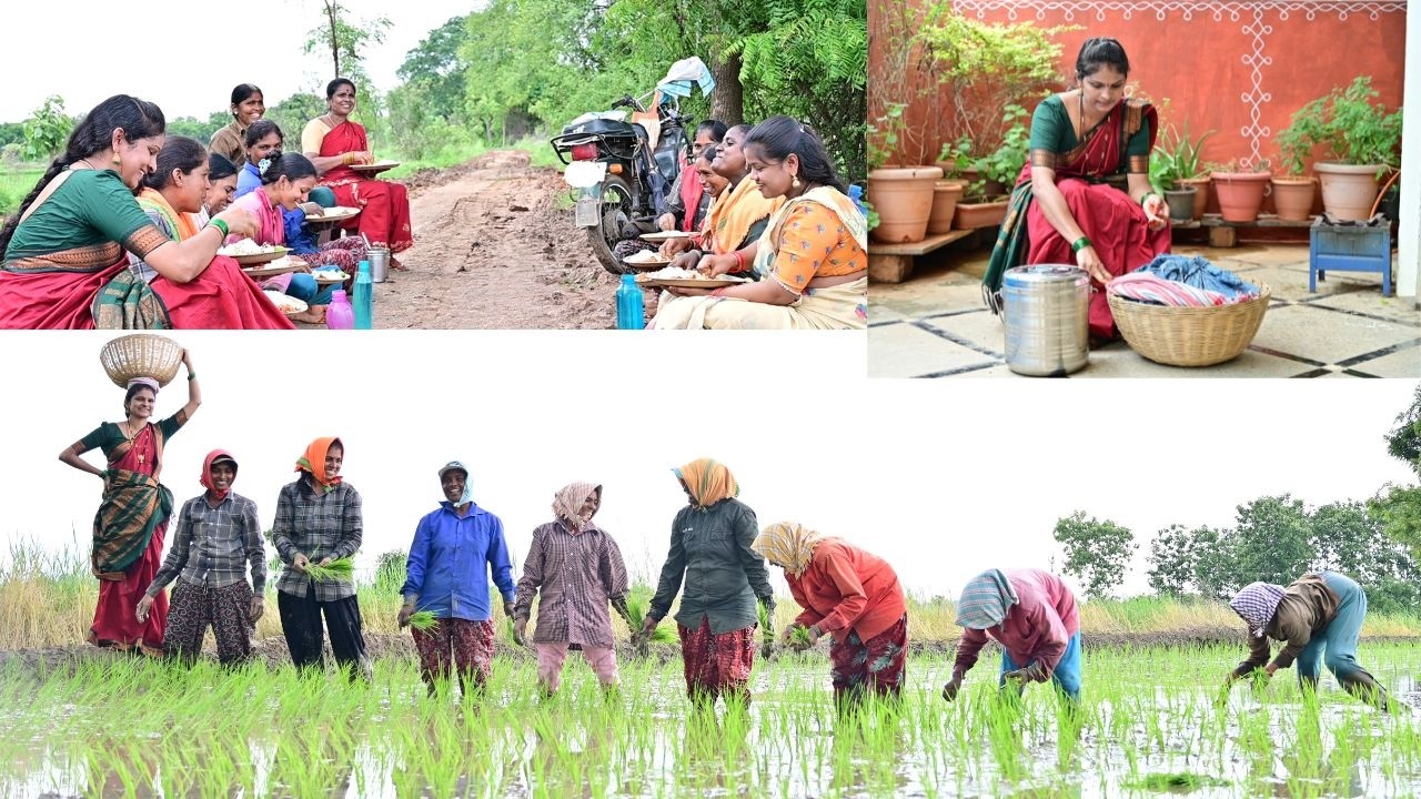 🌾From Paddy Planting to a Delicious Farm Lunch| Bagara Rice & Chicken Curry | Traditional Lifestyle|