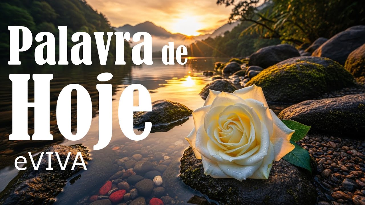 PALAVRA DO DIA 04 DE FEVEREIRO DE 2026 eVIVA MENSAGEM DE BOM DIA E DEVOCIONAL