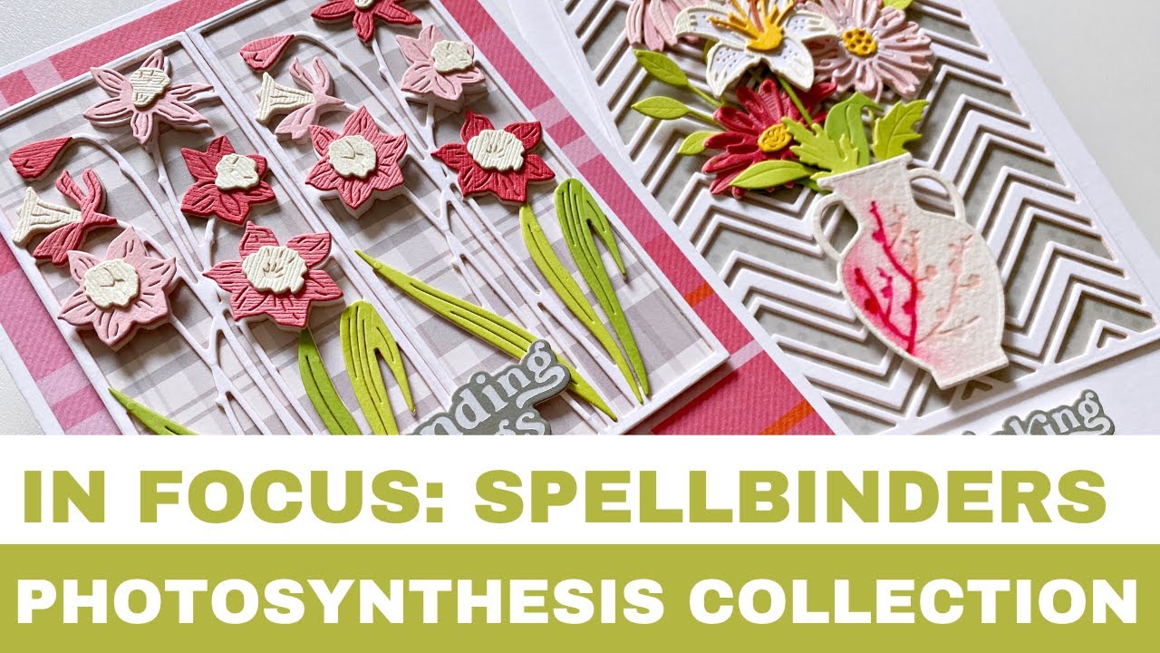 #232 In Focus: Spellbinders Photosynthesis Collection by Simon Hurley