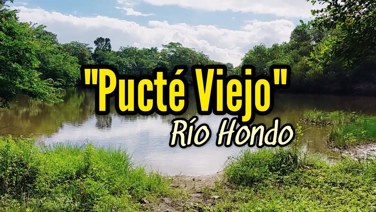 PUCT&Eacute; VIEJO 