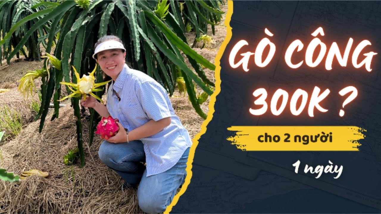 Thử thách vi vu Gò công 300k cho 2 người- Trọn vẹn 1 ngày hạnh phúc