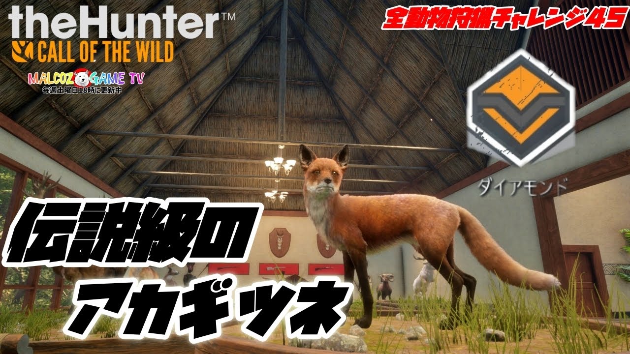 【ザハンターコールオブザワイルド】レジェンダリーのアカギツネ発見！！ダイヤモンドなるか！？【theHunter: Call of the Wild 】