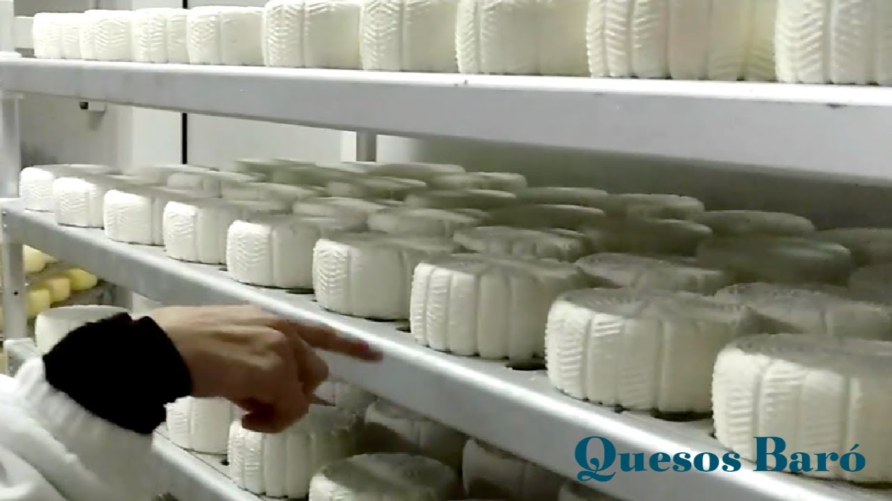 Visita guiada a la Quesería Quesos Baró - Así se hace Queso Artesano