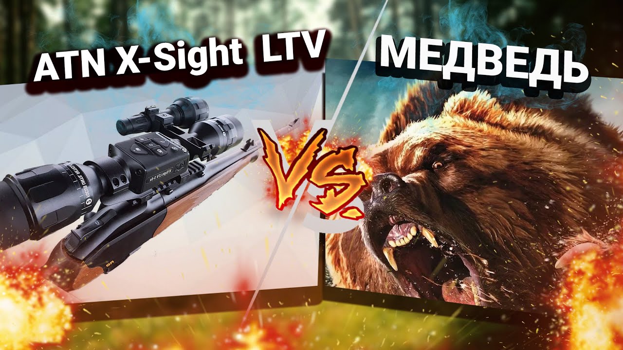 Охота на медведя! Прицел ATN X-Sight LTV в деле. НОВОЕ Ленинградская область