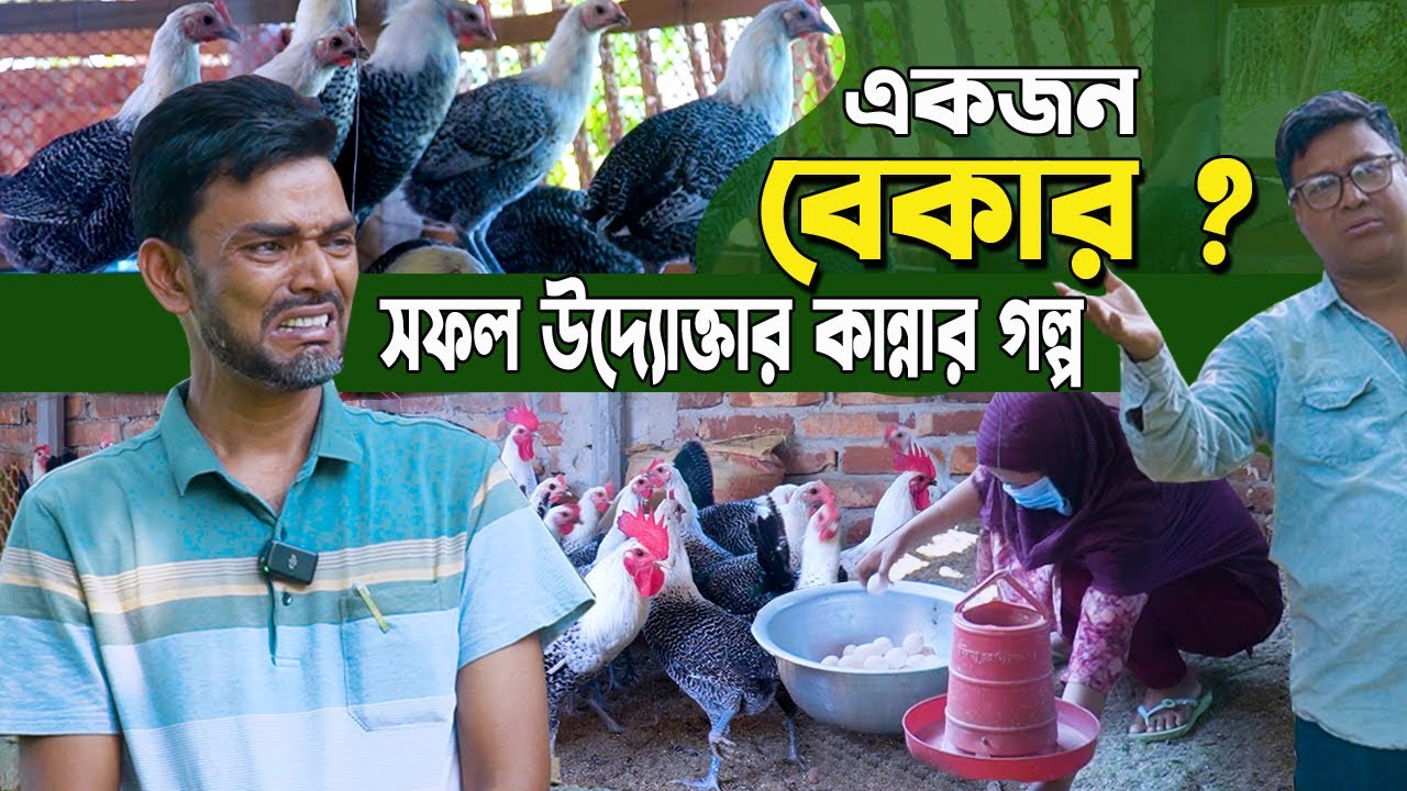 সফল উদ্যোক্তার কান্নার গল্প। শিক্ষিত উদ্যোক্তা ফাউমি মুরগী পালন