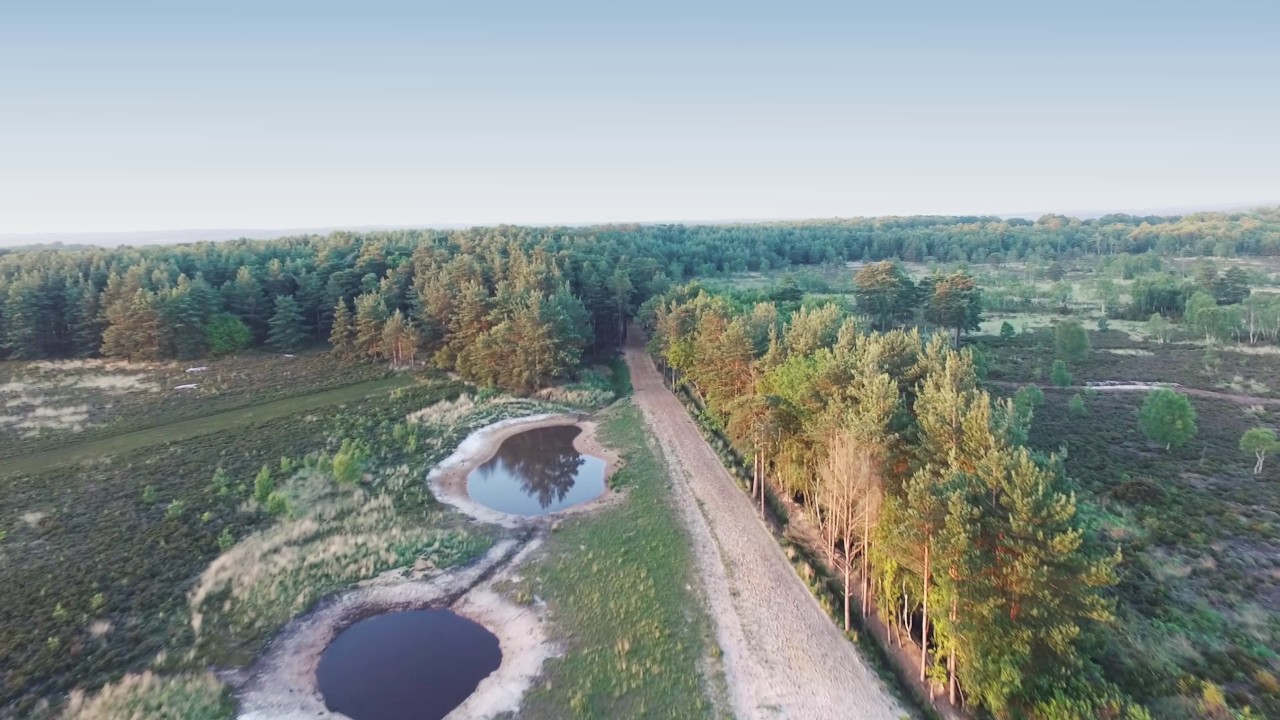 Surrey countryside by air