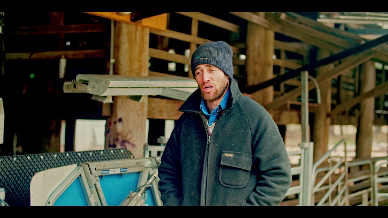 Clipex | Preg-Scan | Sheep Handler Pro