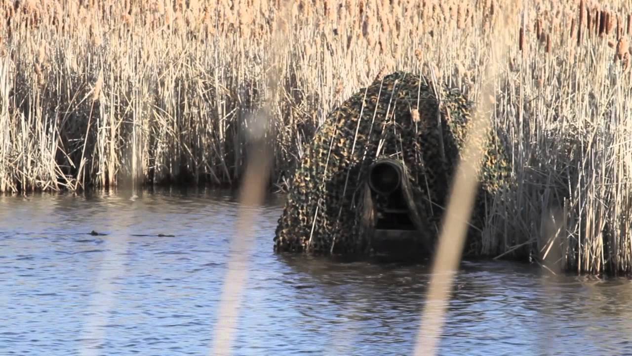 Floating Blind Hide Wildlife Photography—ducks, swans, loons—Shooting with Sparky