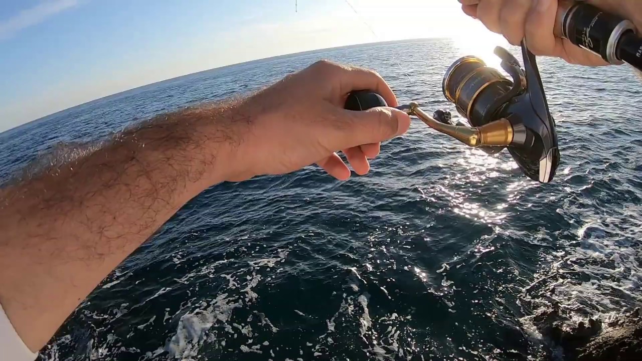 Amberjack C&R on Duo Drag Metal Cast Slim 60g