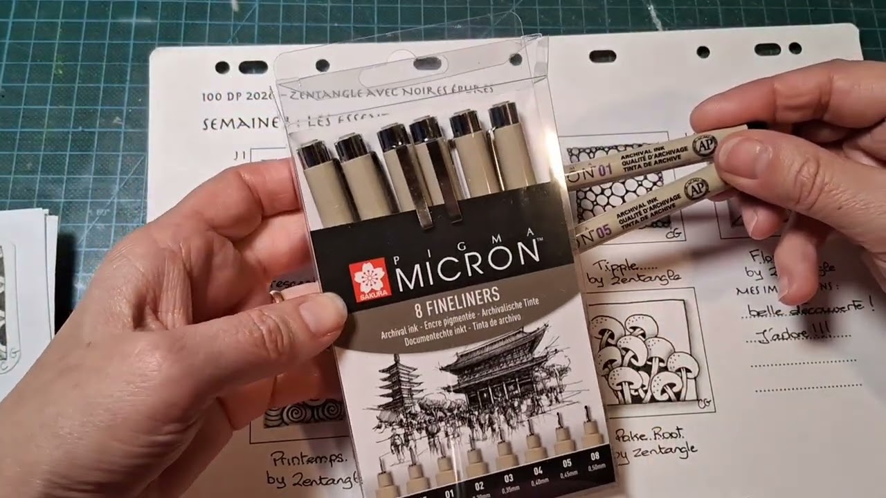Apprendre le Zentangle avec le 100daysP @noires-epures 