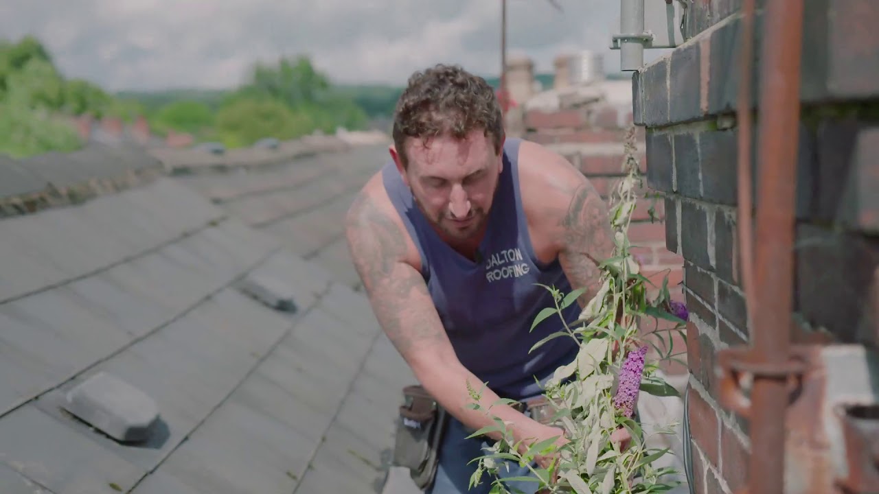 Plants In The Roof | Dalton Roofing