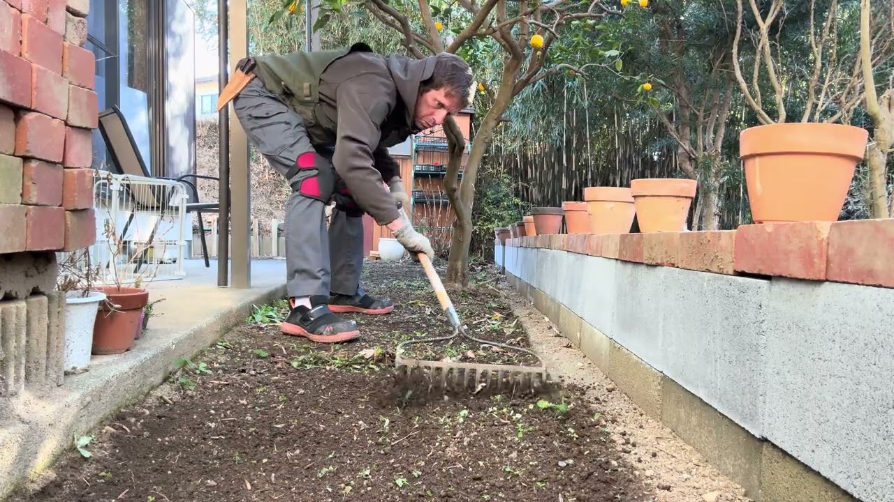 🪴 Garden Work in Japan: Cleaning Up Bamboo Poles by the Brick Wall – Japan Garden