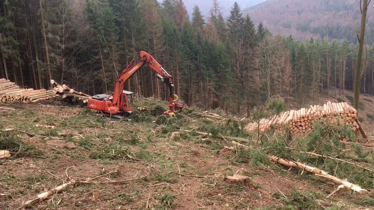 Woody 60 mit Deawoo harvestor