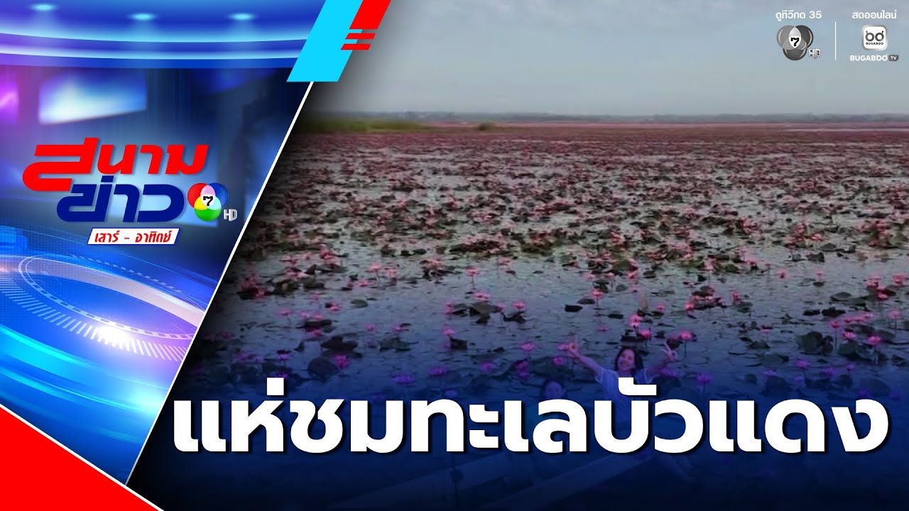 ตามรอย ลิซ่า แห่ชมทะเลบัวแดง | สนามข่าวเสาร์-อาทิตย์