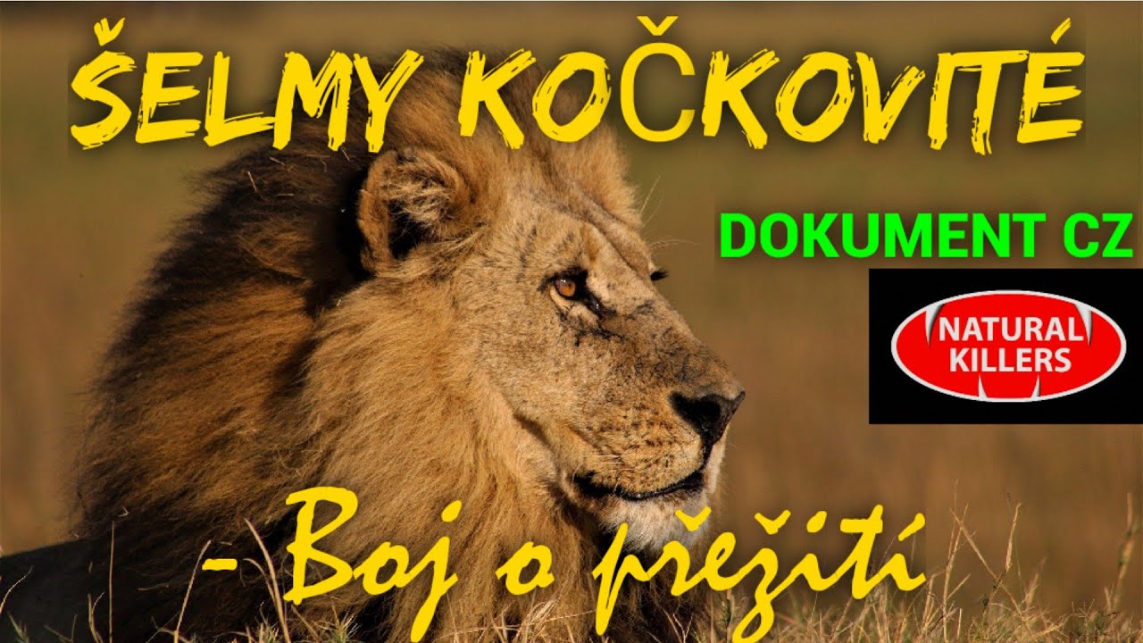 02 &Scaron;ELMY KOČKOVIT&Eacute; - Boj o přežit&iacute; (DOKUMENT - Pred&aacute;toři zbl&iacute;zka)