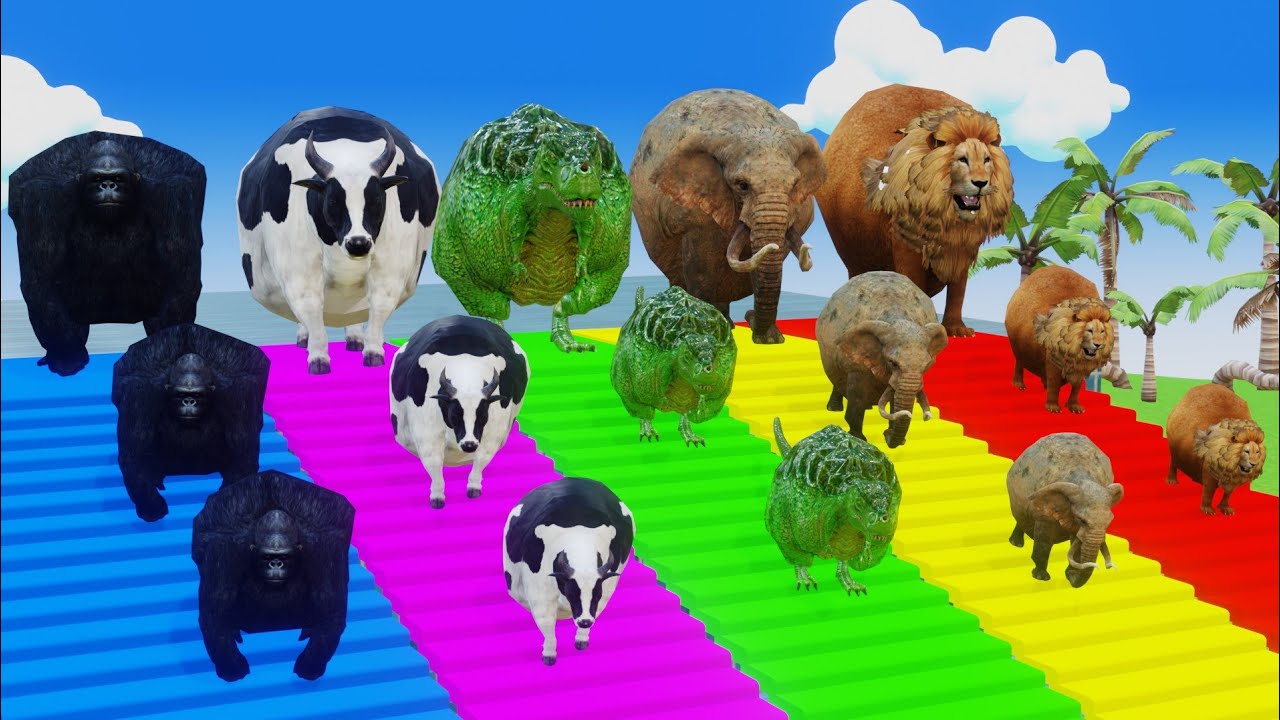 Long Slide Game With  Cow Elephant Gorilla Hippopotamus Tiger 3d Animal Game Funny 3d Animals