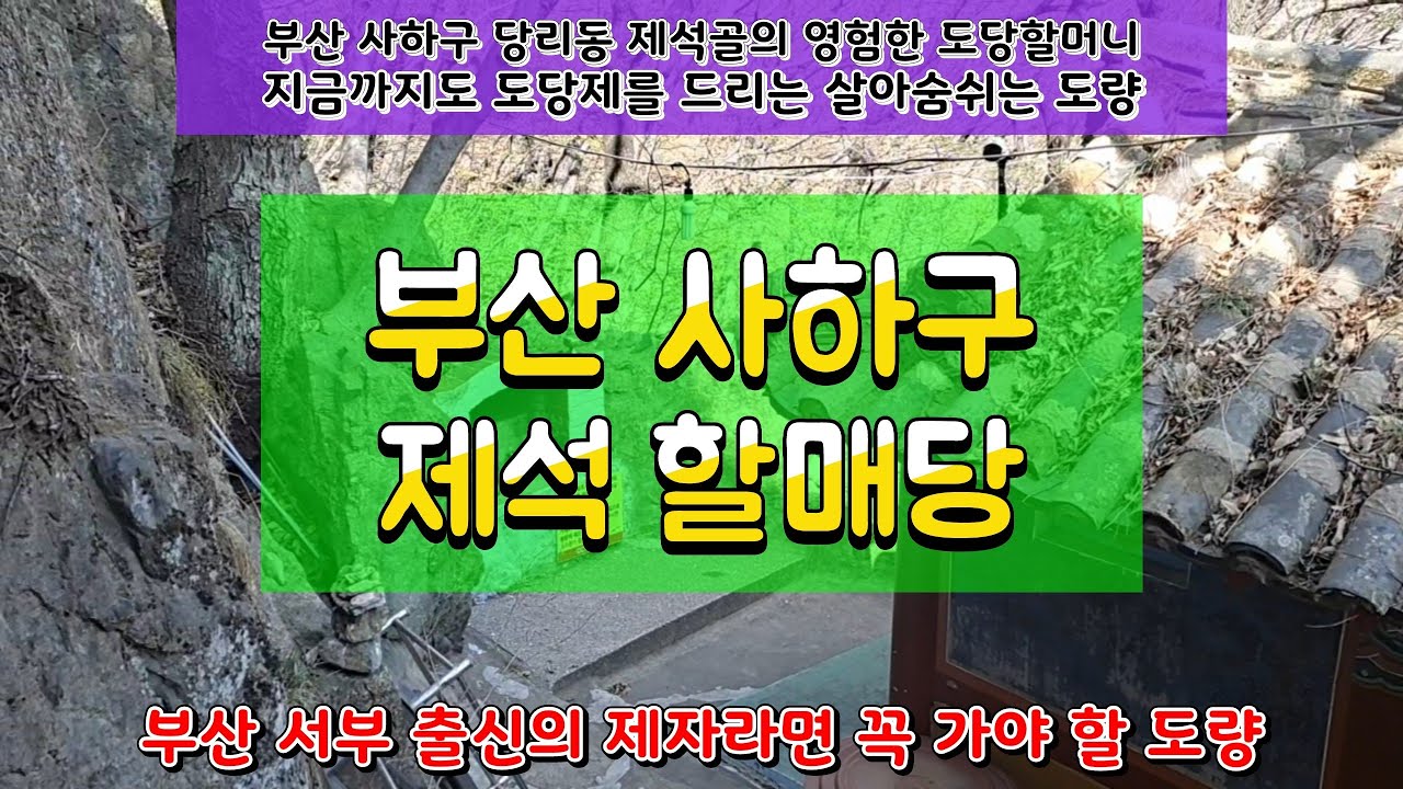 부산 사하구 제석골 제석할매당! 부산 영도 할머니와 쌍벽을 이루는 영험한 신령님~! #기도터 #부산기도터 #제석할매당