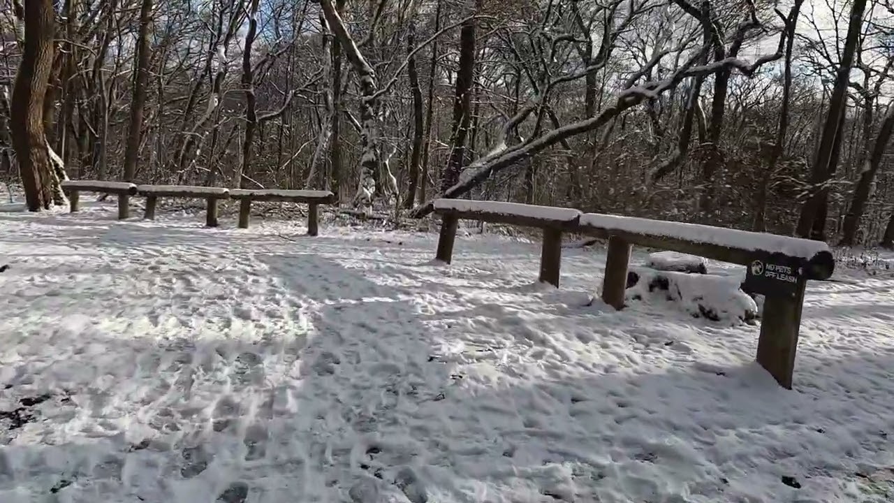 Park Trail Loop | Pre Christmas Snow Run