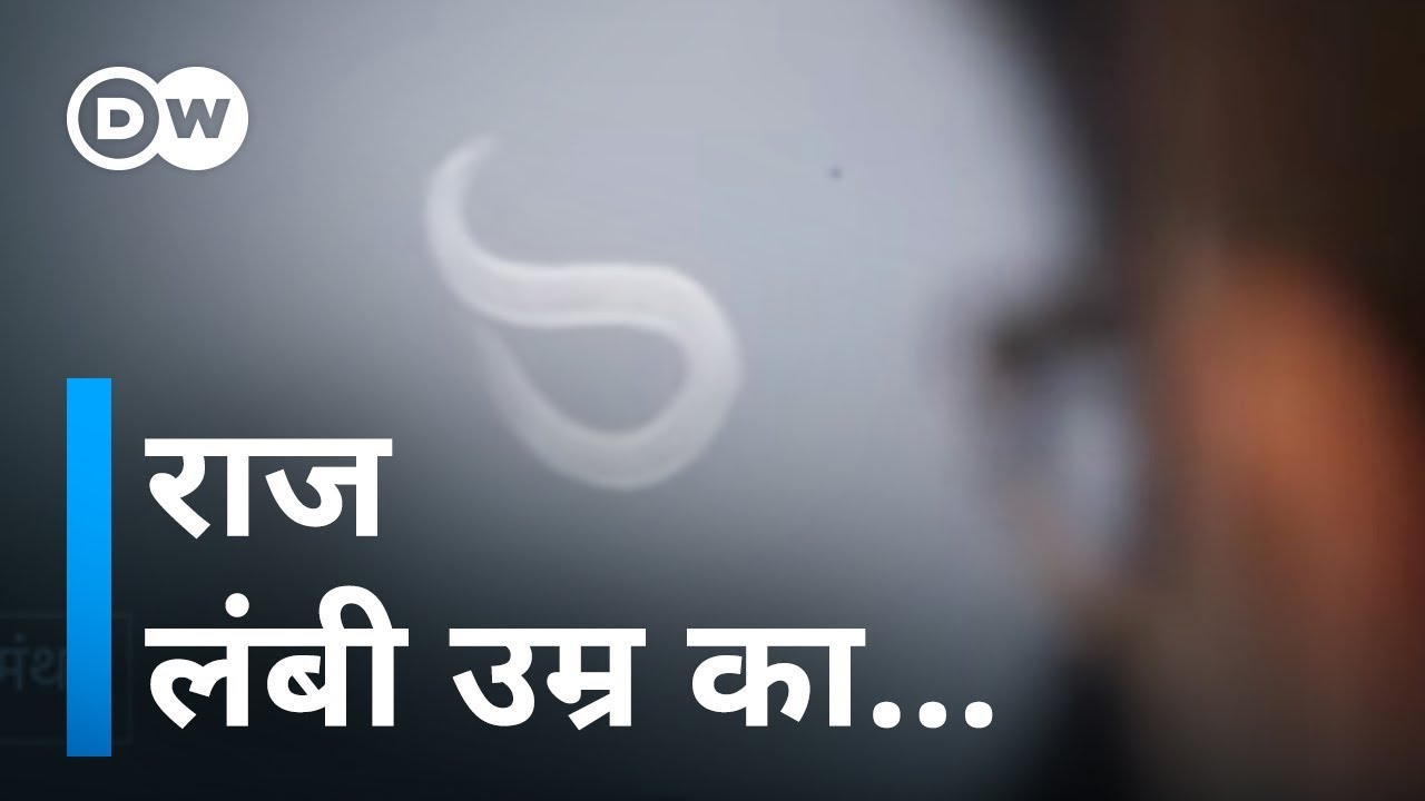 क्या है लंबी उम्र का राज [How To Live A Longer Life]