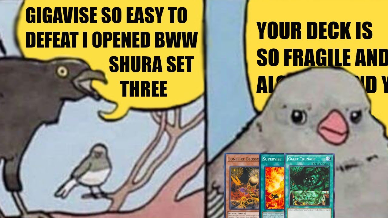 this bird duelist was SALTY (blackwing vs gigavise edison format)