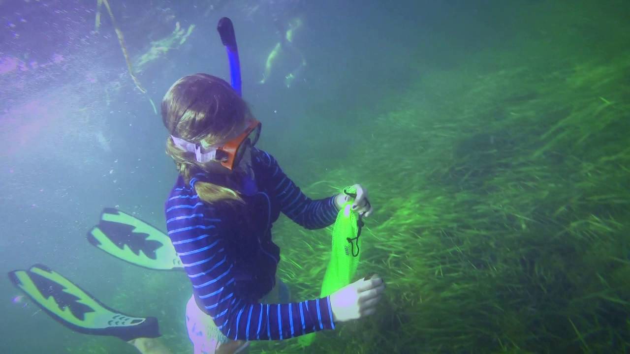 Florida Scalloping - Citrus County