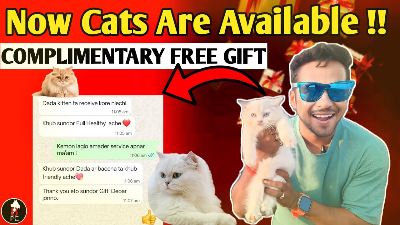 DURGAPUR CHEAPEST CAT SHOP।। Best Pet Center।। #cat
