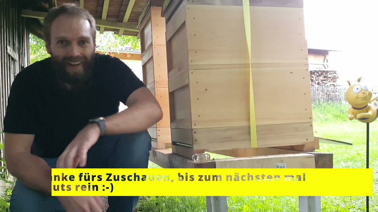 Varroa Behandlung Nr03 mit OX Vernebler + Checkup | Oxalsäure Vernebler | Futterkontrolle