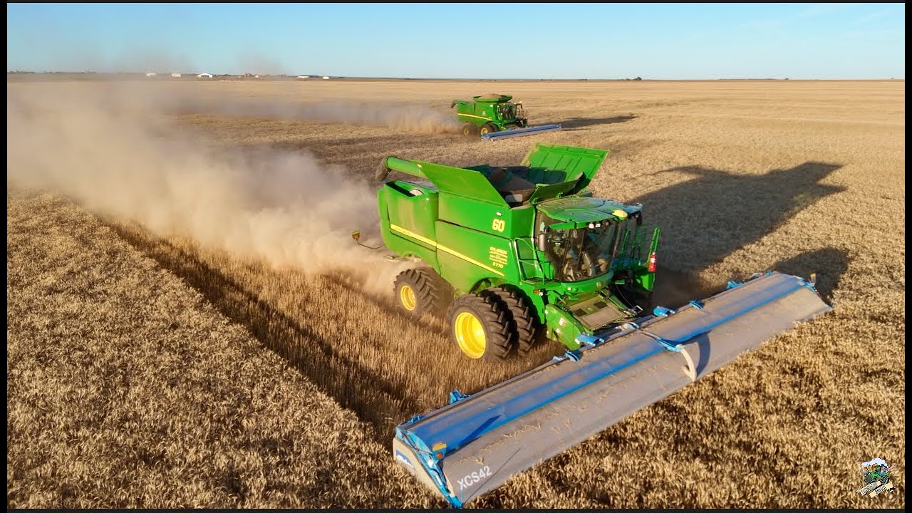 Wheat Harvest 2025 near Ballinger Texas