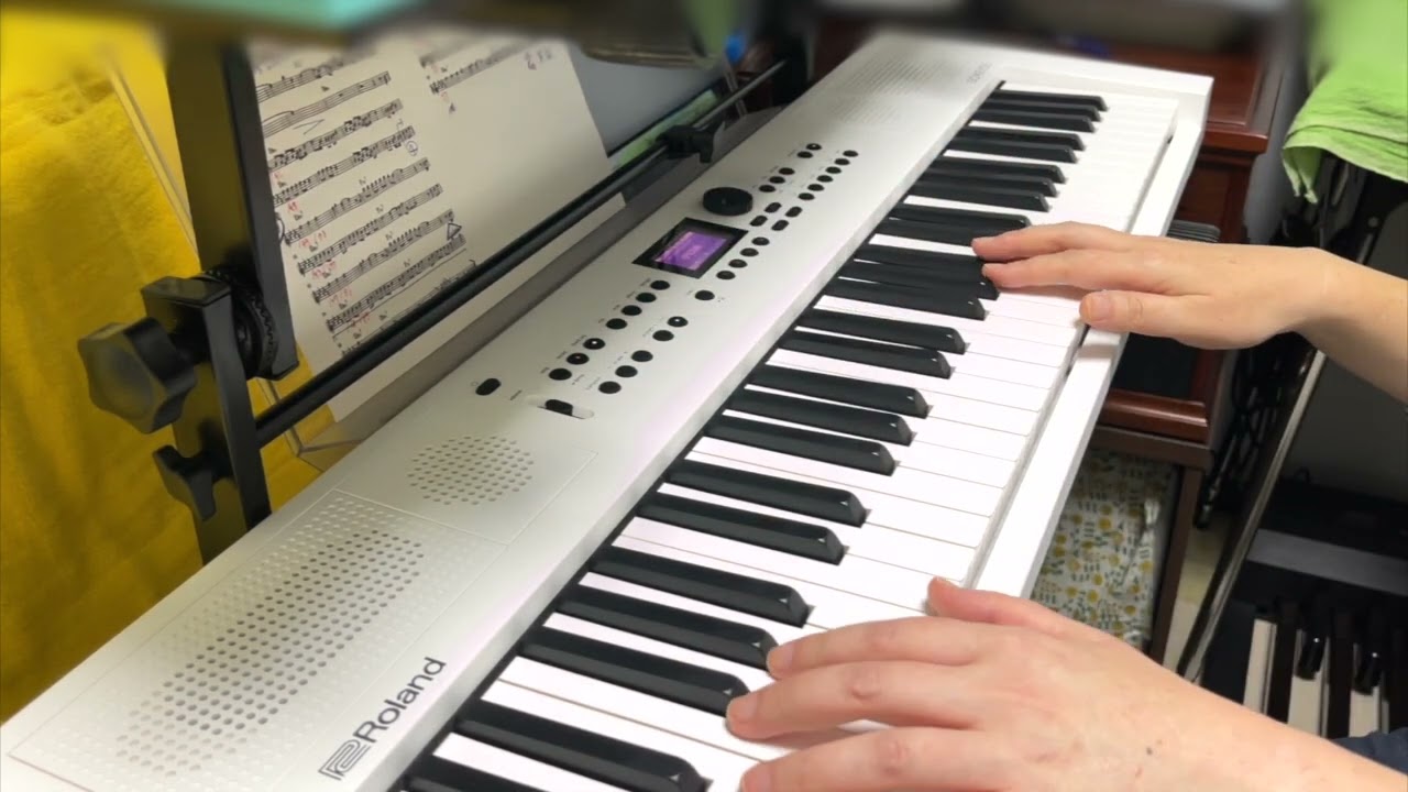 Shangri-La (電気グルーヴDenki Groove Cover) Roland Go Keys5