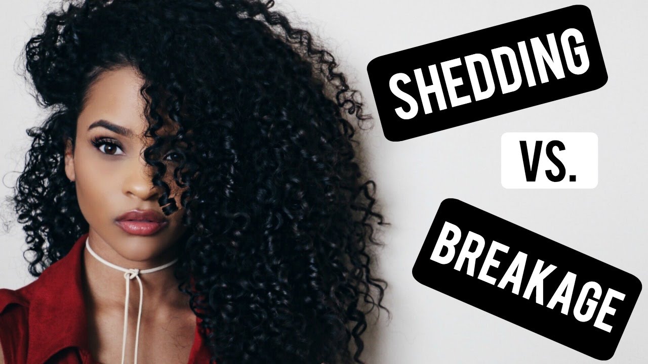 GWR: Shedding vs. Breakage. + Tips To Prevent Breakage