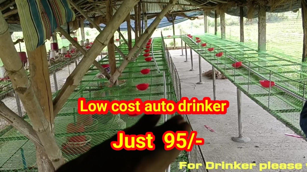 10000/- extra profits per 1 batch,/Net floor //New autometic drinker installation