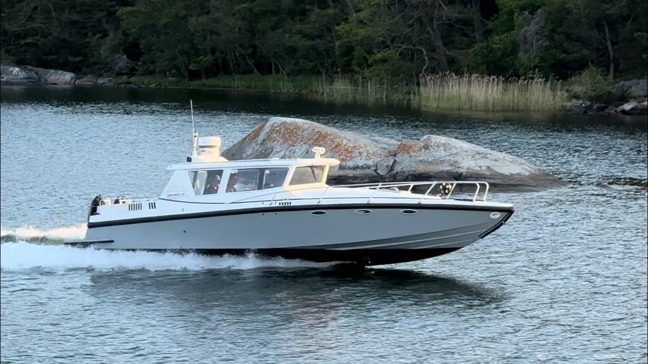 Segmo 31 vs Delta 32