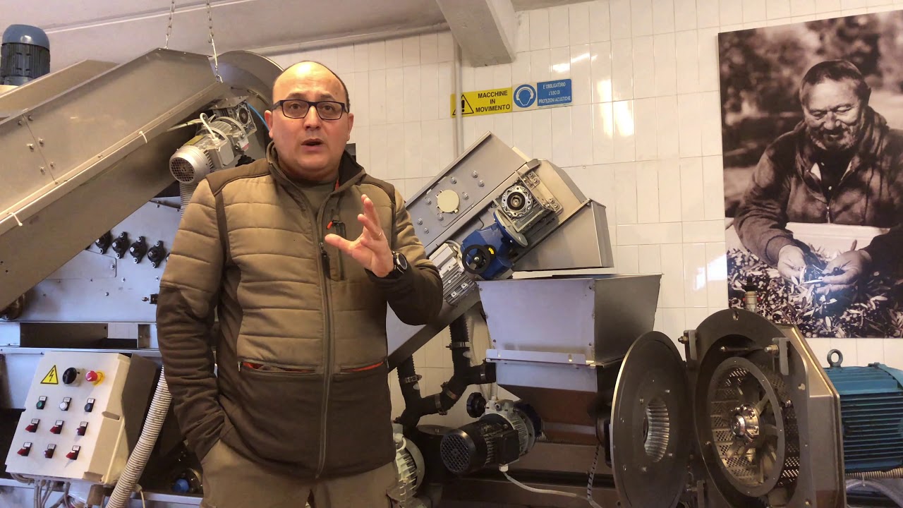 Frangitore a Coltelli o Frangitore a Martelli per il tuo olio?