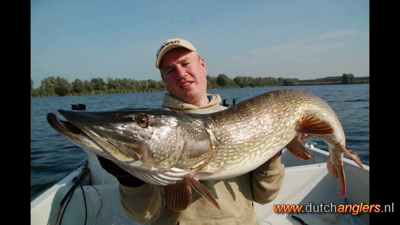 Dutchanglers - metersnoek 129cm plus release video