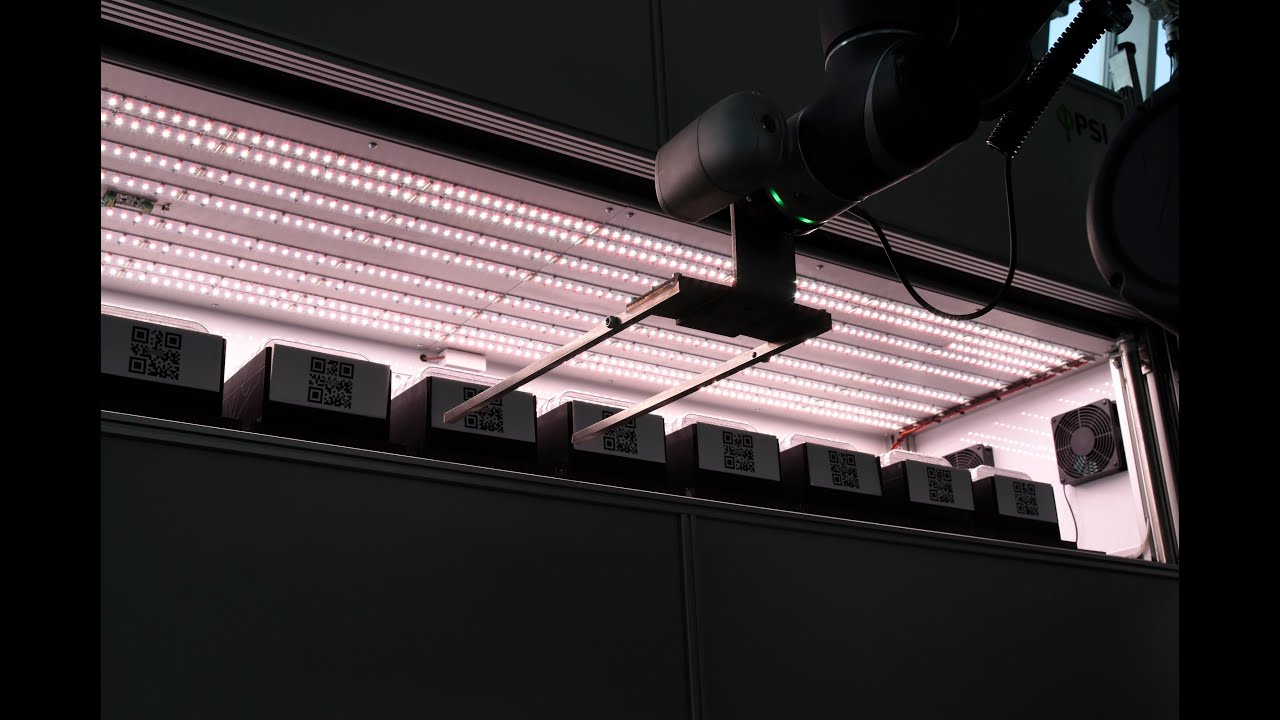 Growth Hotel - Agar Root Phenotyping System