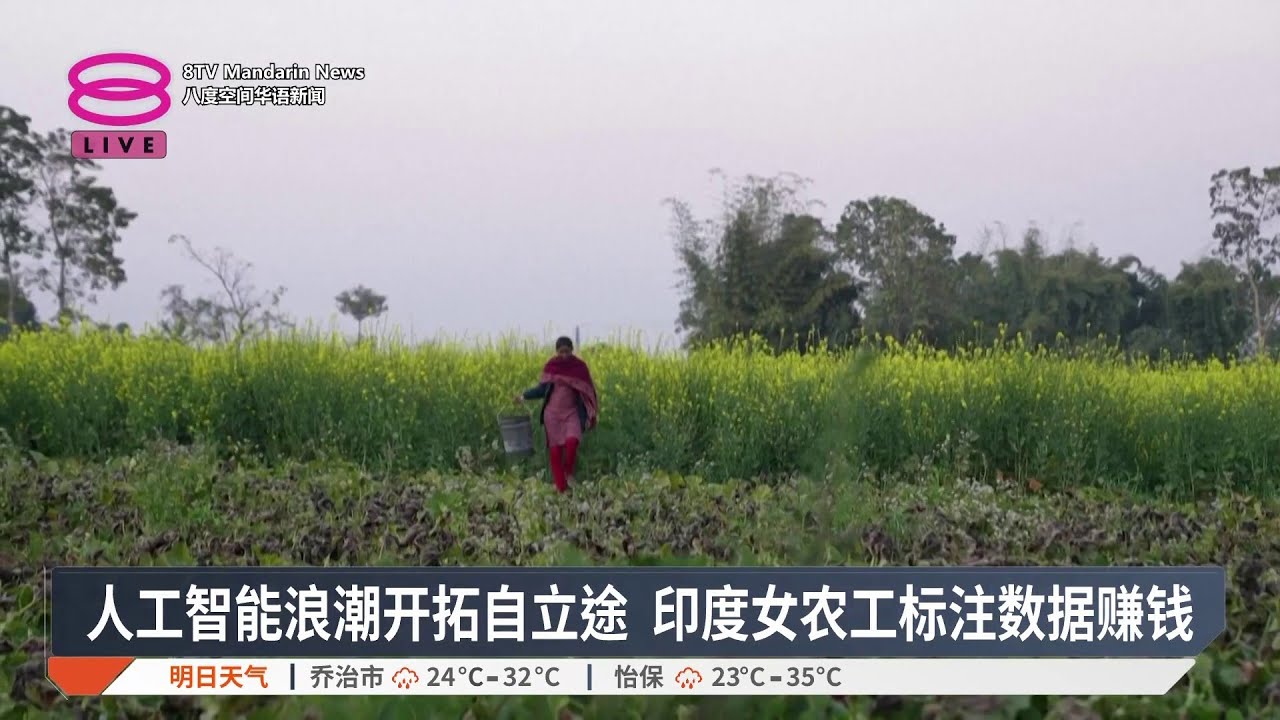 人工智能浪潮开拓自立途 印度女农工标注数据赚钱【2026.02.03 八度空间华语新闻】