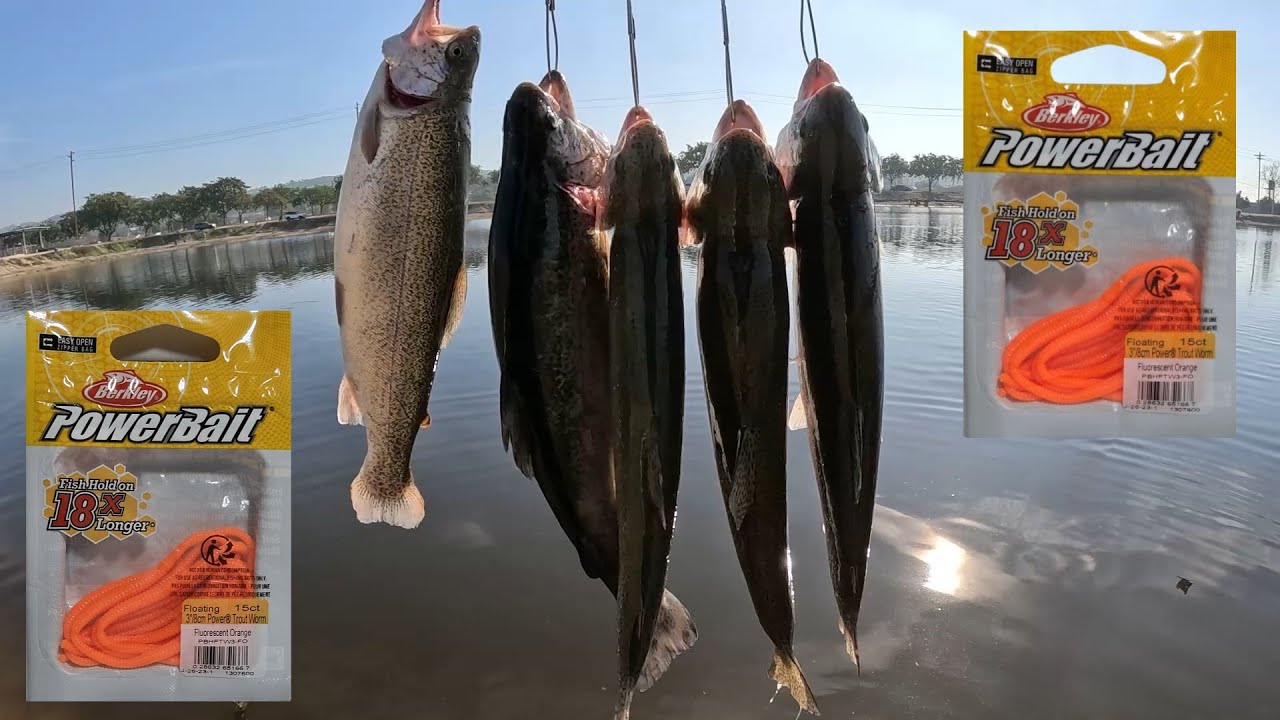 Santa Ana River Lakes Pescando Viernes