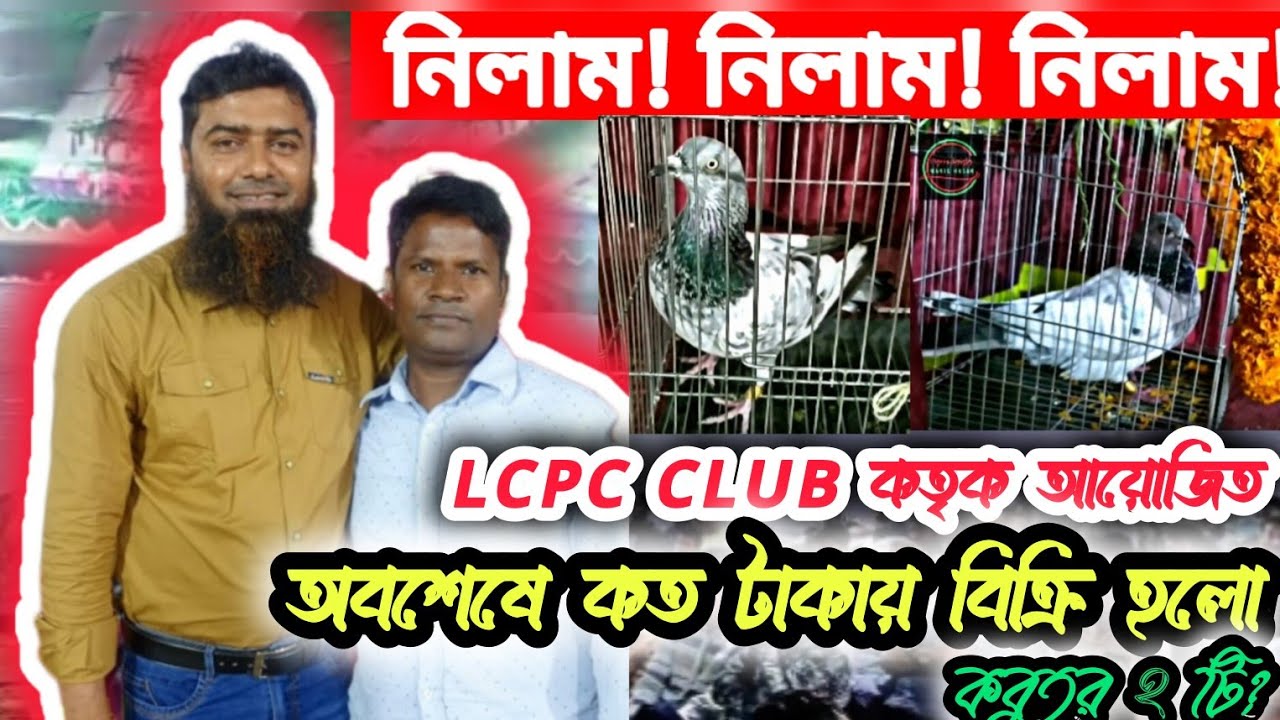 নিলাম! নিলাম! নিলাম! LCPC ক্লাব কতৃক  আয়োজিত ৪১ কিলোমিটার থেকে আসা ২ টি কবুতররের নিলাম বিট||