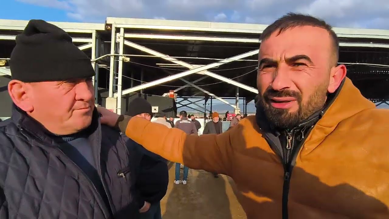 ÇORUM HAYVAN PAZARI BÜYÜKBAŞ 2 MART ÇEKİMİ 1.BÖLÜM 2 MART 2026