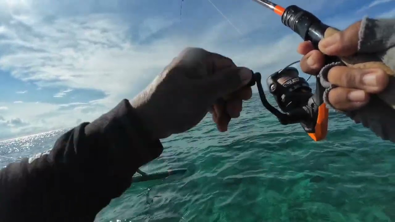 Grabing pag kumagat sunod sunod#oryongadventure