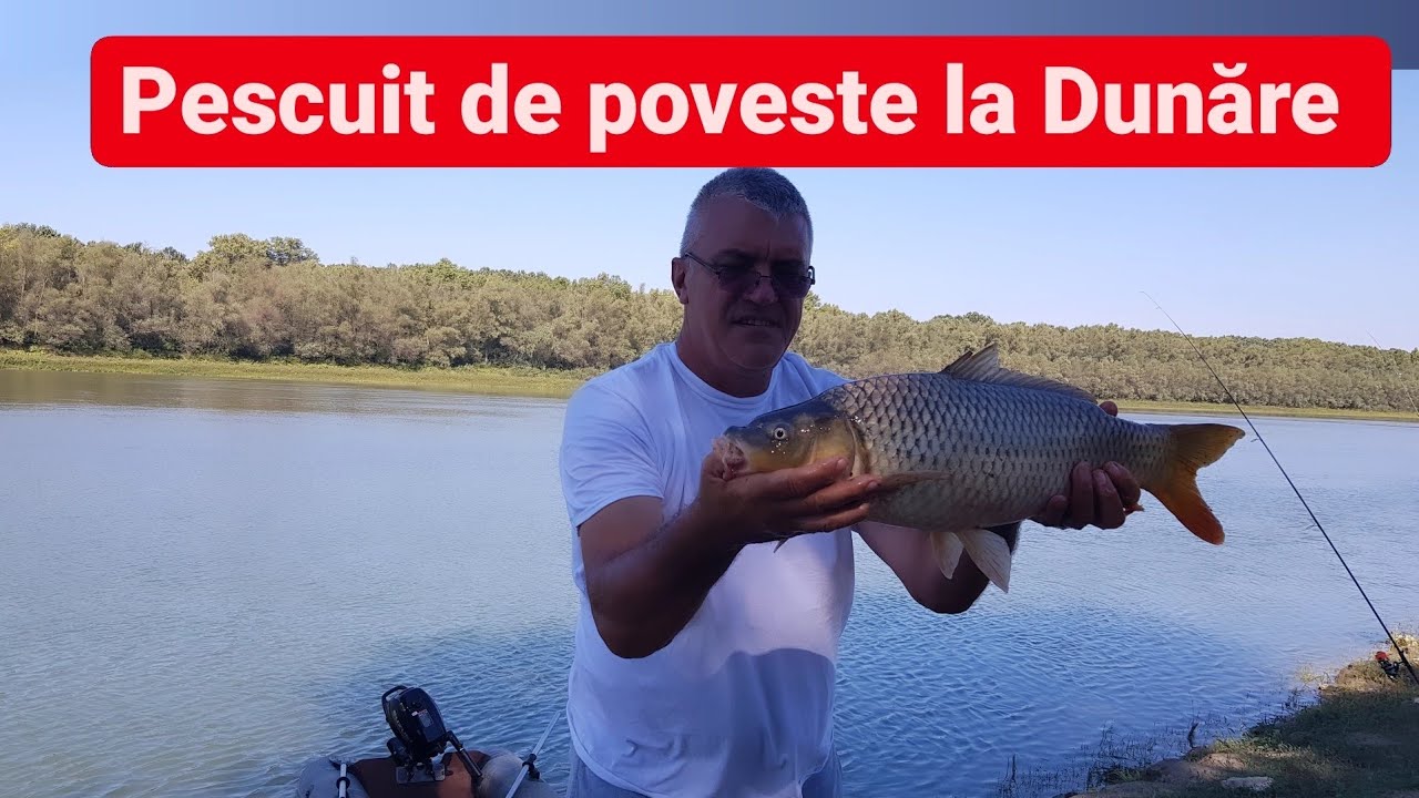 Pescuit de poveste la Dunăre în familie! #pescuit #pescuitlafeeder #pescuitladunare