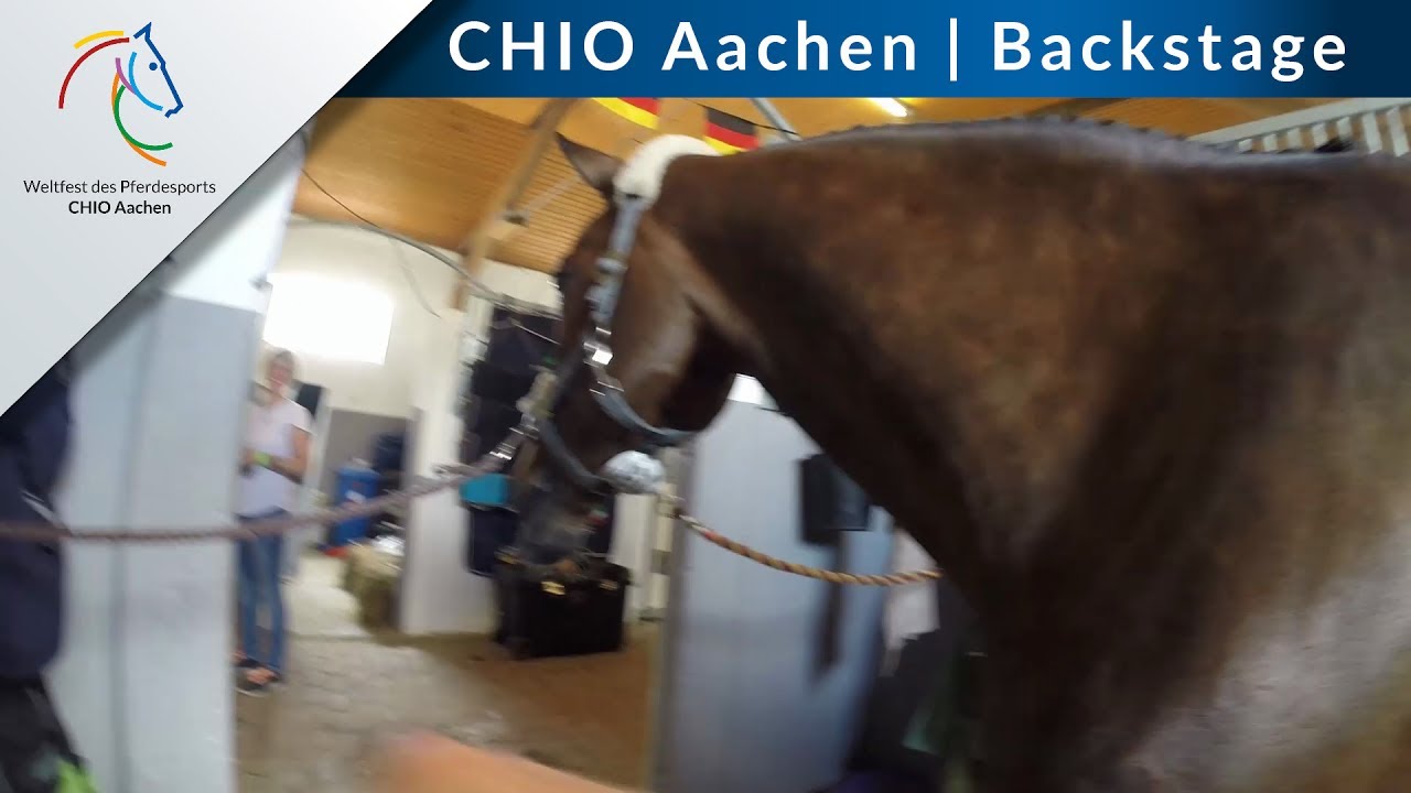 CHIO Aachen Backstage: Unterwegs mit Groom Lisa Fundis
