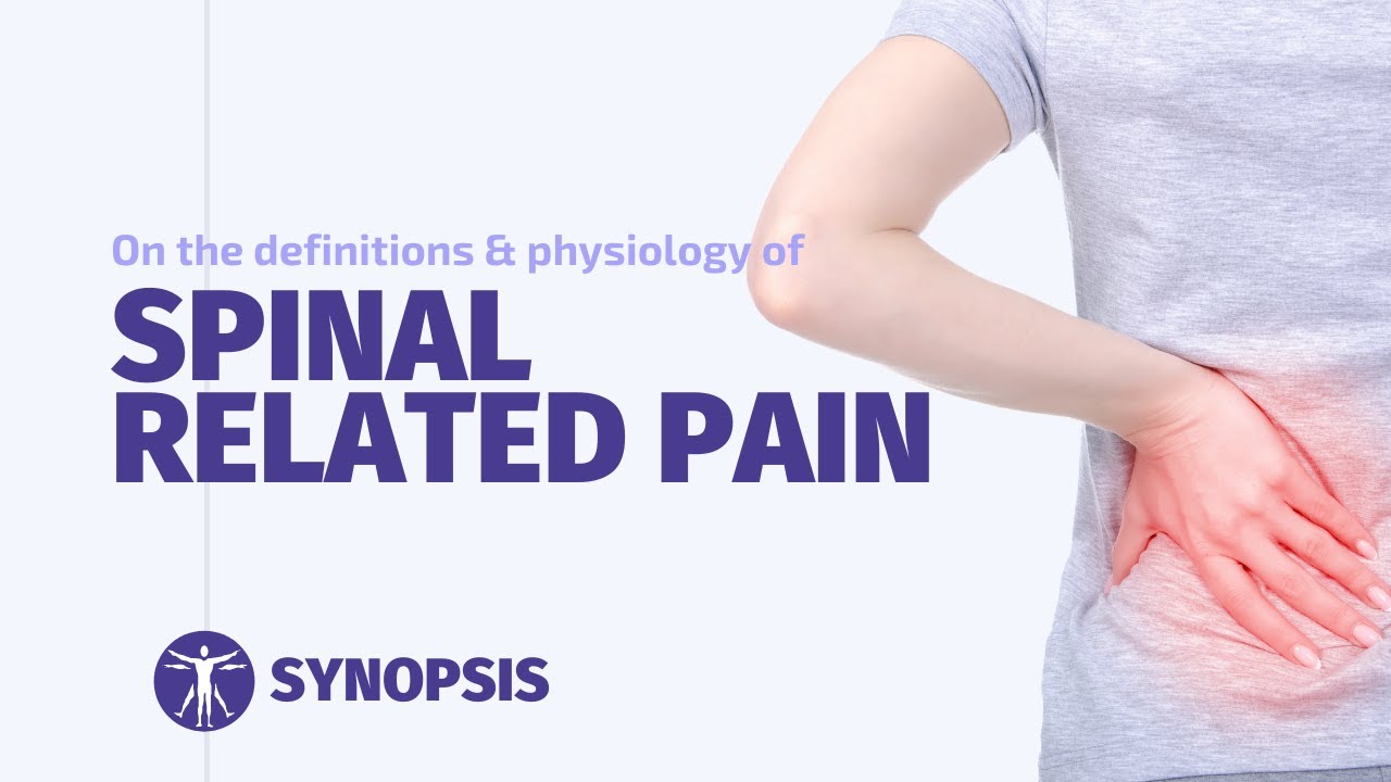 Radicular Pain, Referred Pain, and Radiculopathy | SYNOPSIS