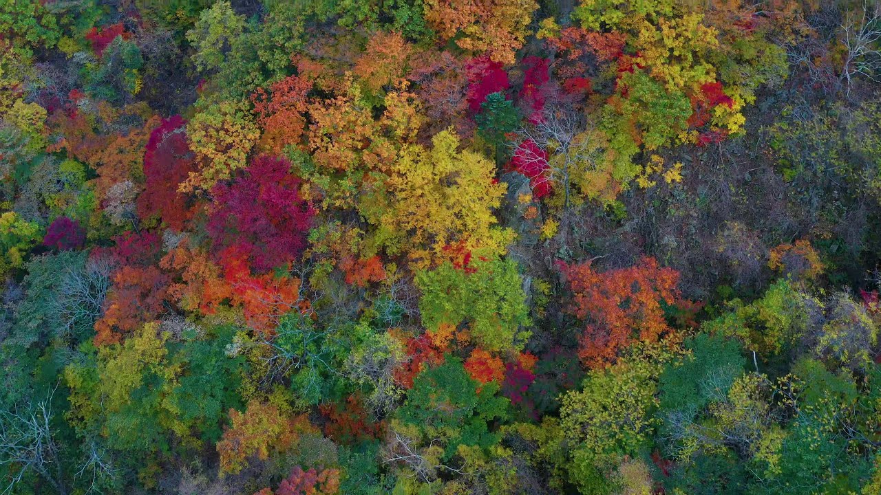 HERBST 4 Autumn 4 가을 4  2019  울산 바위  Ulsan Rock  Ulsanbawi