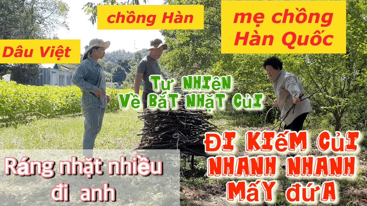Mẹ chồng Hàn Quốc con Dâu Việt Nam kéo nhau về quê nhặt củi hái rau
