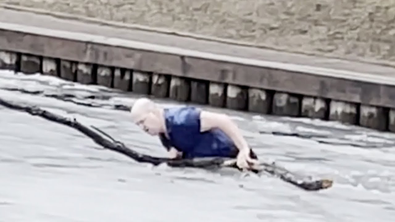 Herrchen versucht verzweifelt, seinen Hund zu retten. Dann filmen Passanten eine Heldentat
