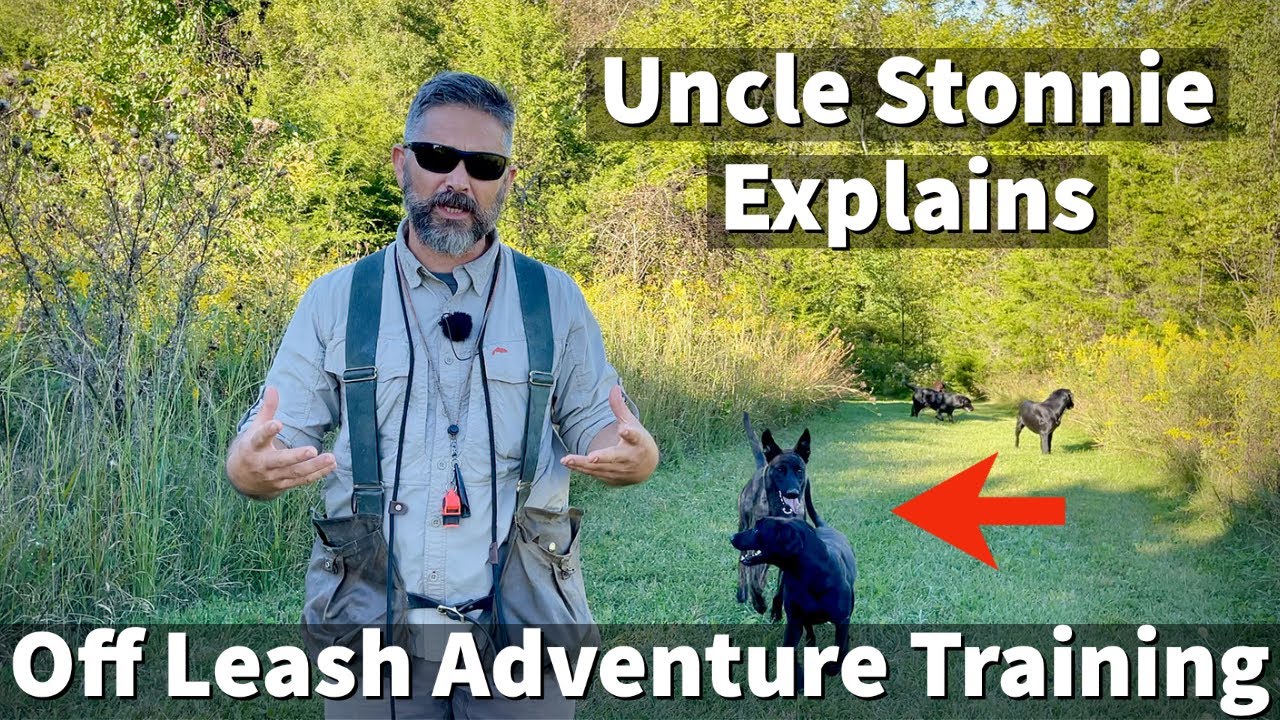 Uncle Stonnie Explains The Benefits Of Off Leash Dog Training Adventures