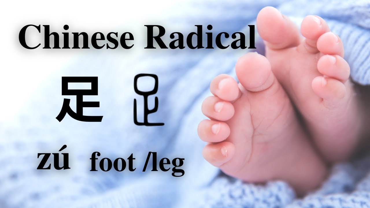 Chinese Radicals - 10 most common foot radical (足 zú) Chinese words