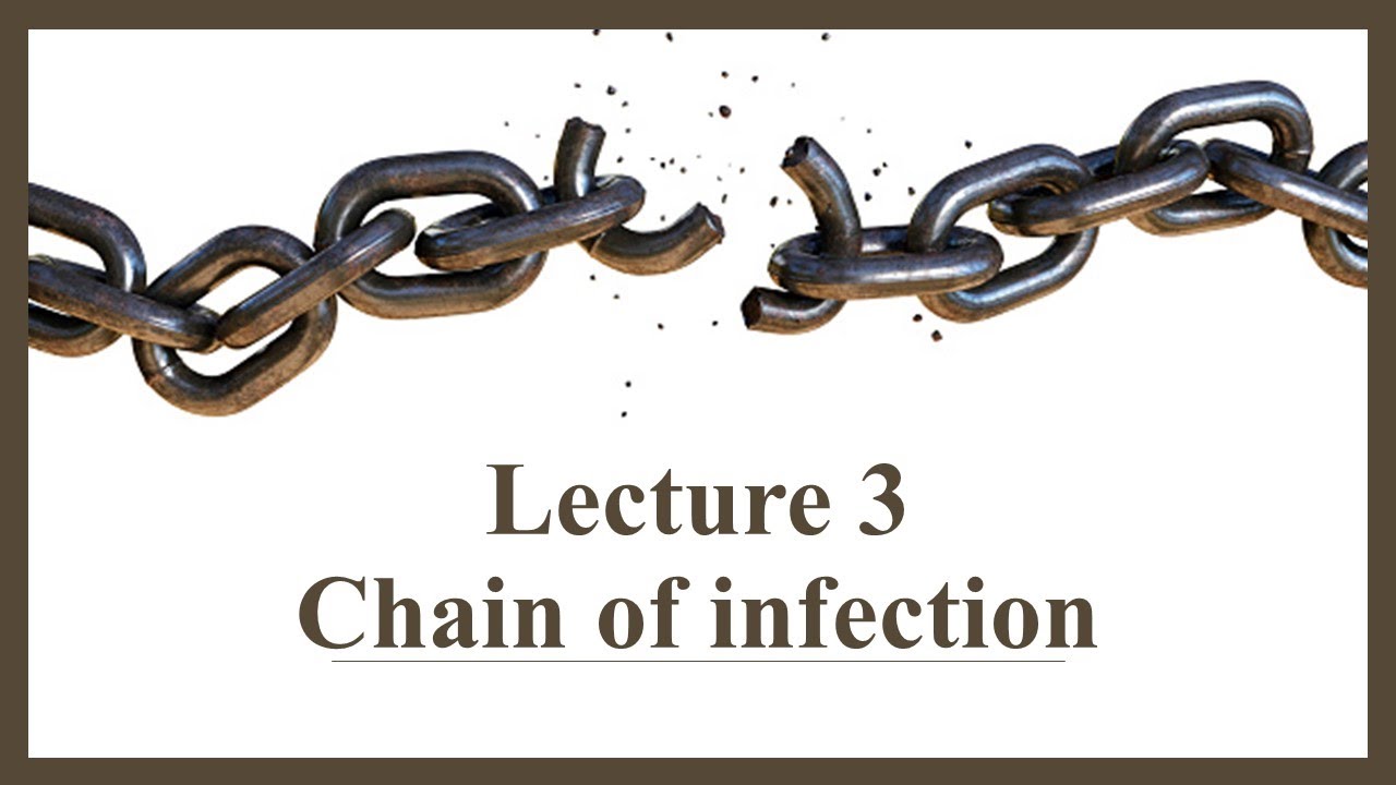 Lecture 3 Chain of infection